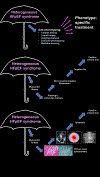 Figure 2.: