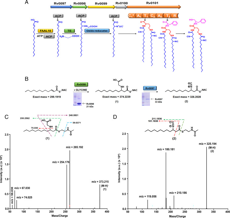 Fig. 4.