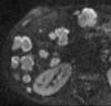 Figure 3b