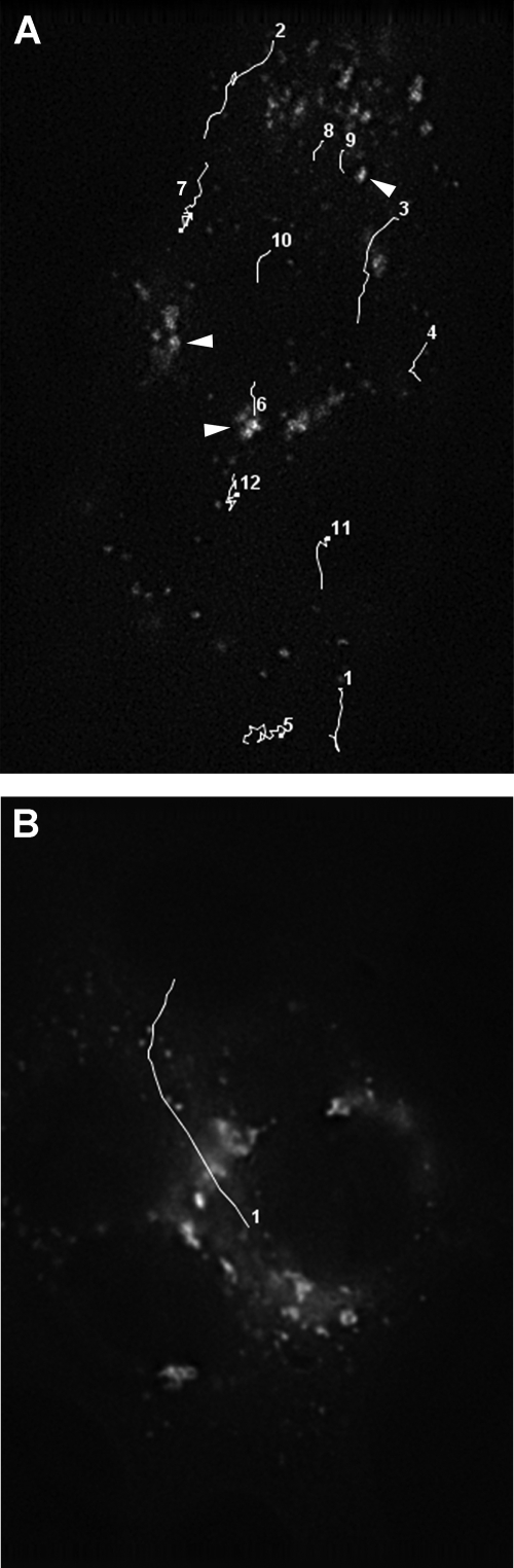 FIG. 5.