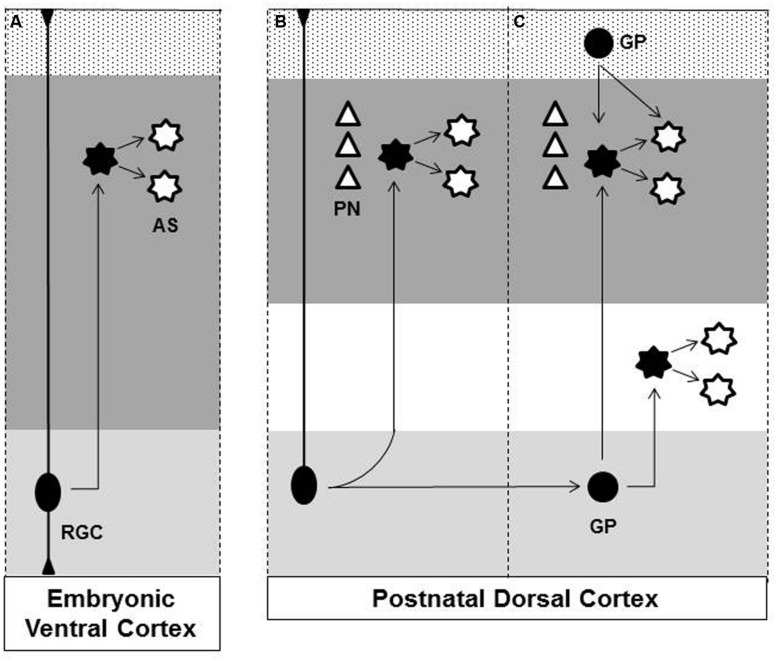 FIGURE 1