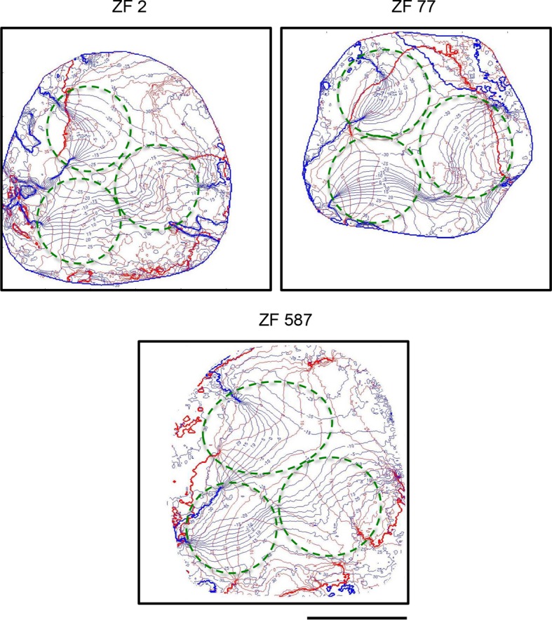 Fig 2