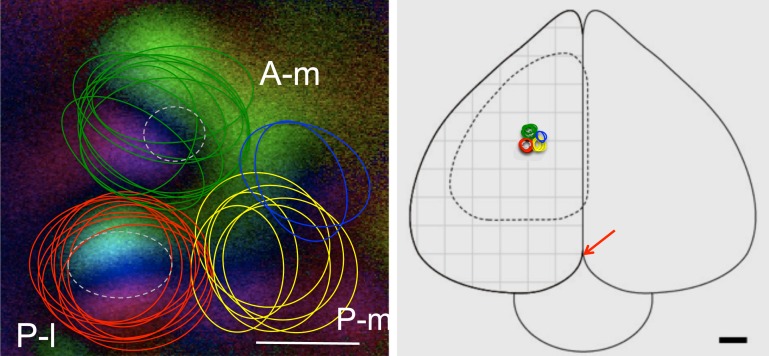 Fig 3