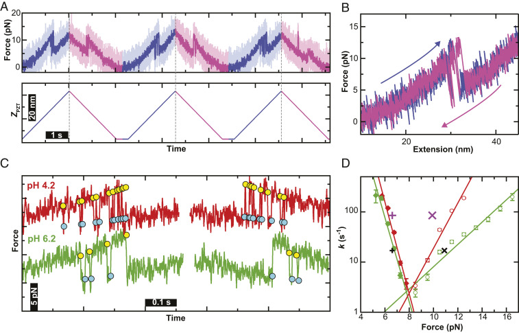 Fig. 4.