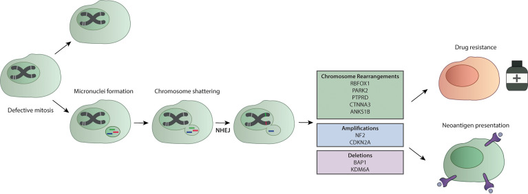 Figure 3