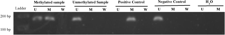 Figure 3