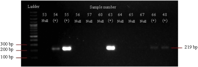 Figure 2