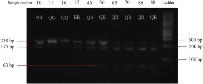 Figure 1