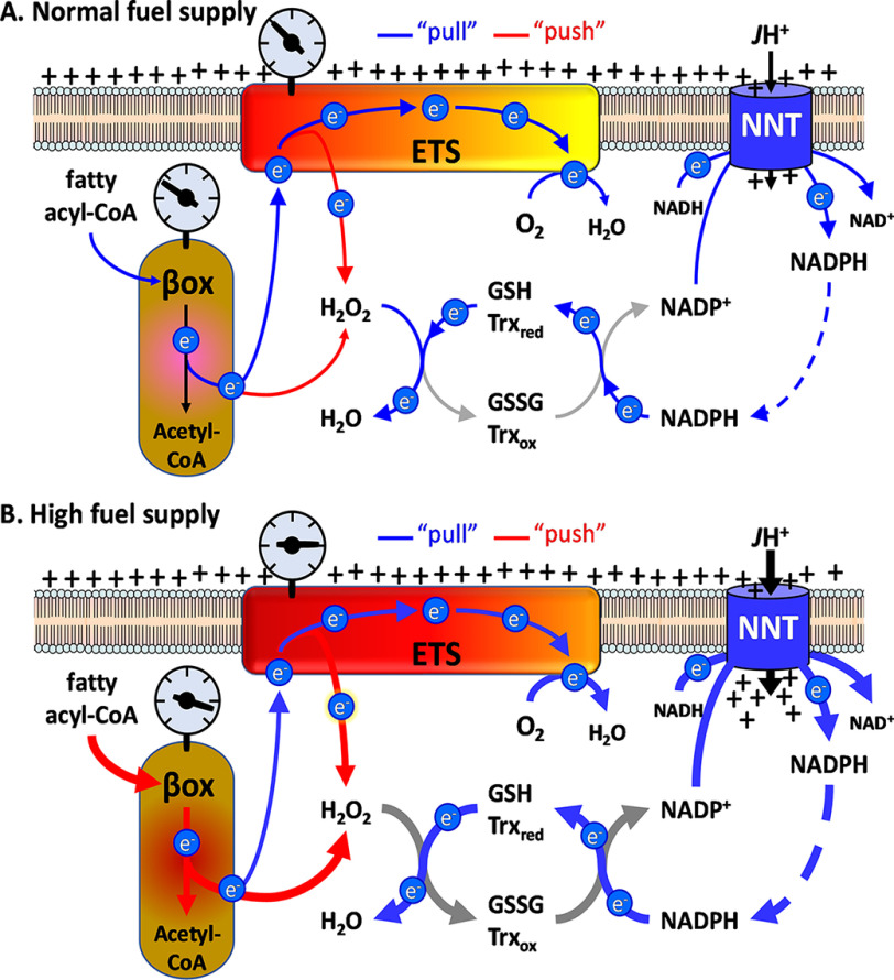 Figure 5.