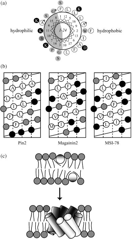 FIGURE 11