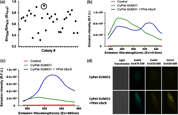 Figure 6