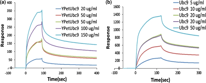 Figure 5