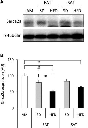 Fig 7