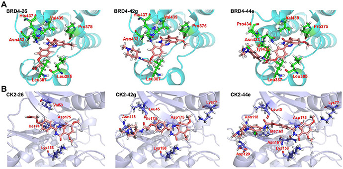 Figure 4.