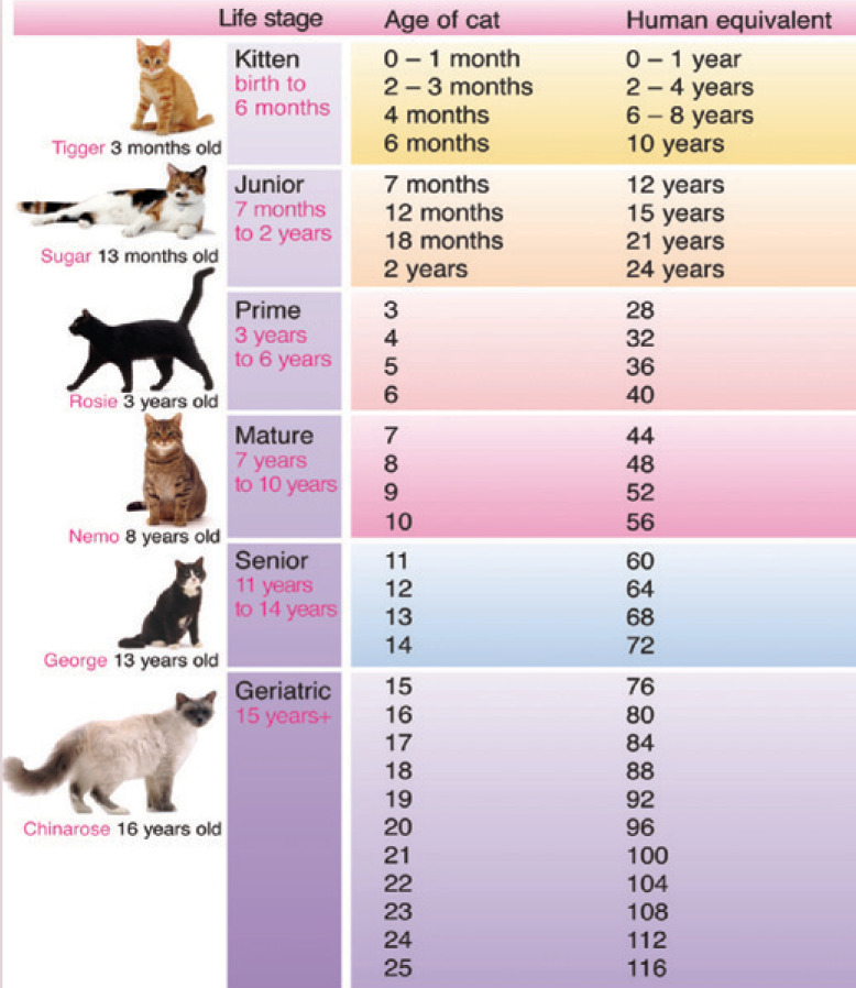 graphic file with name 10.1016_j.jfms.2009.07.008-fig4.jpg