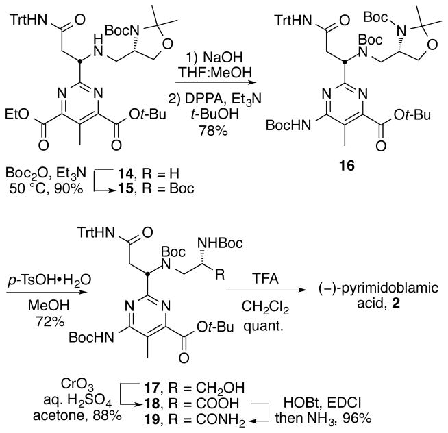 Scheme 5