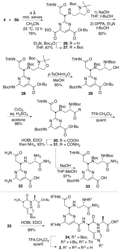 Scheme 6