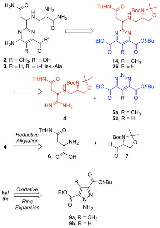 Scheme 2