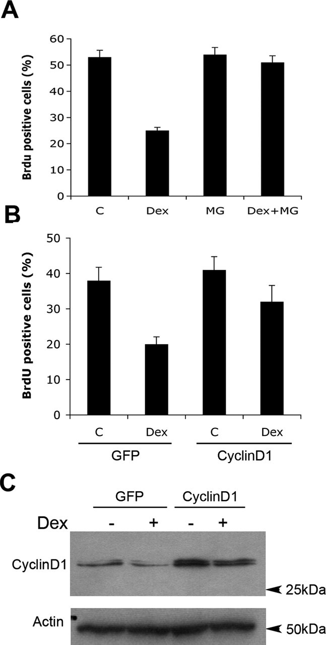 Figure 9.