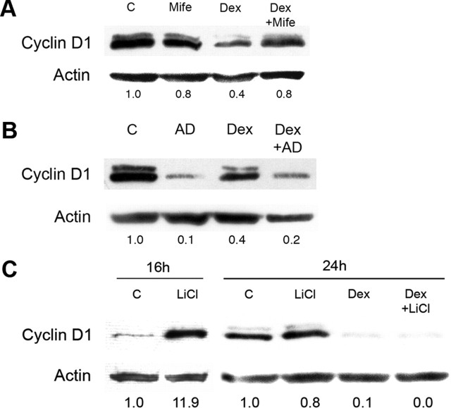 Figure 7.