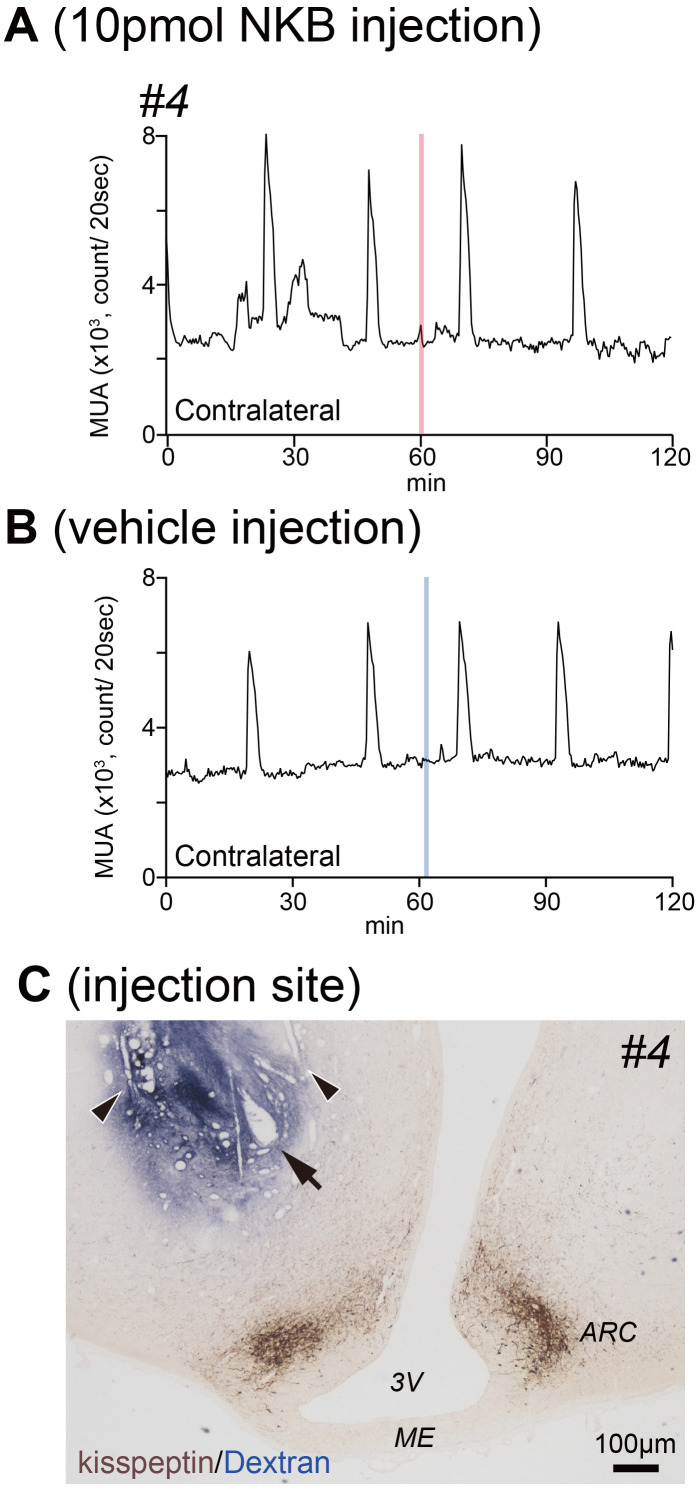 Fig. 3.