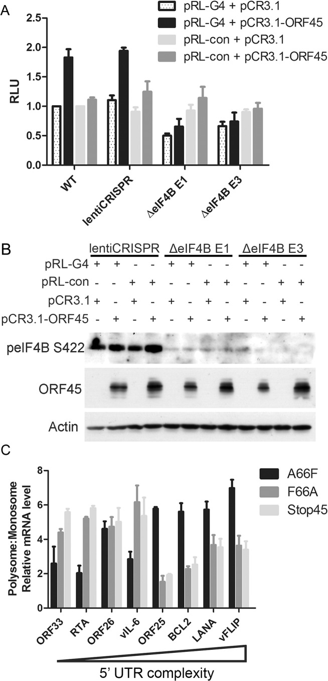 Fig 9