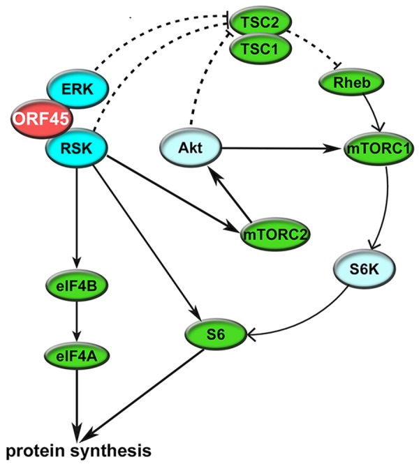 Fig 10