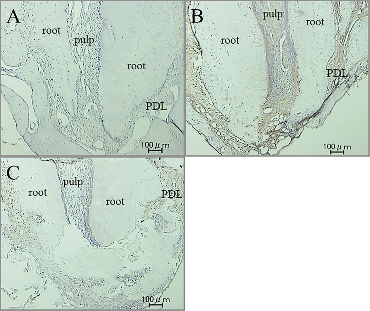 Fig 9