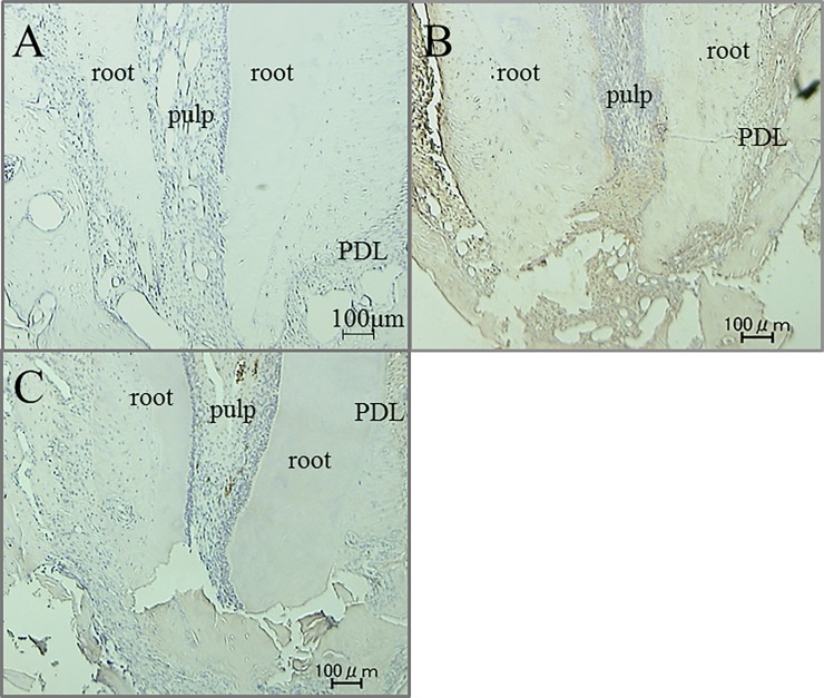 Fig 11