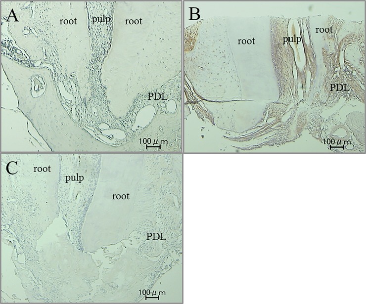 Fig 8