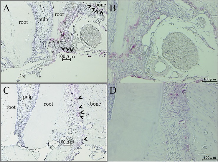 Fig 12