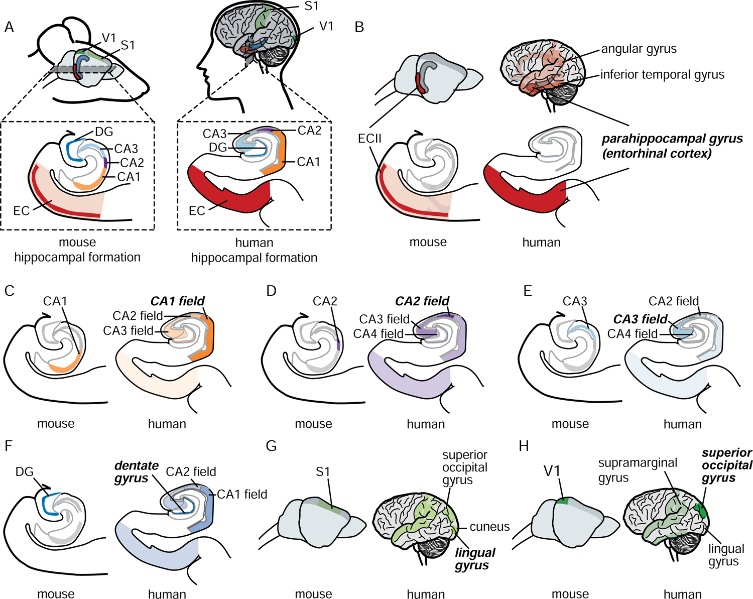 Figure 3: