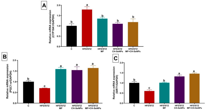 Figure 5