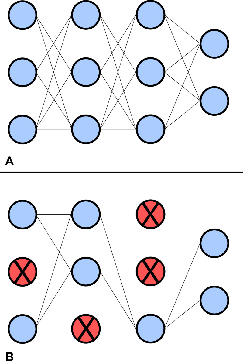 Example of a network (A) without and (B) with dropout. Nodes and corresponding connections are suppressed during dropout to improve generalization. The probability for a node to be suppressed during dropout is 0 < P < 1.