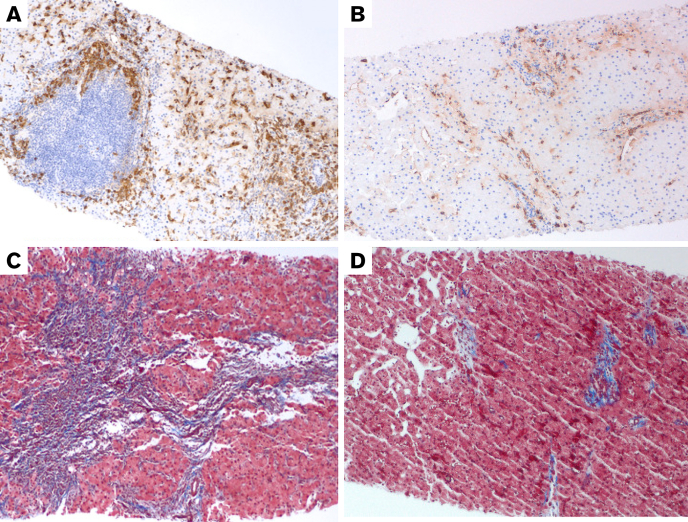 Figure 2.