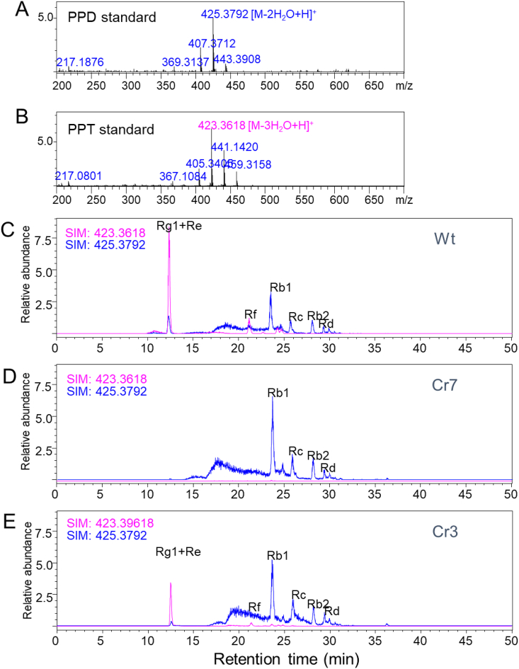 Fig. 3