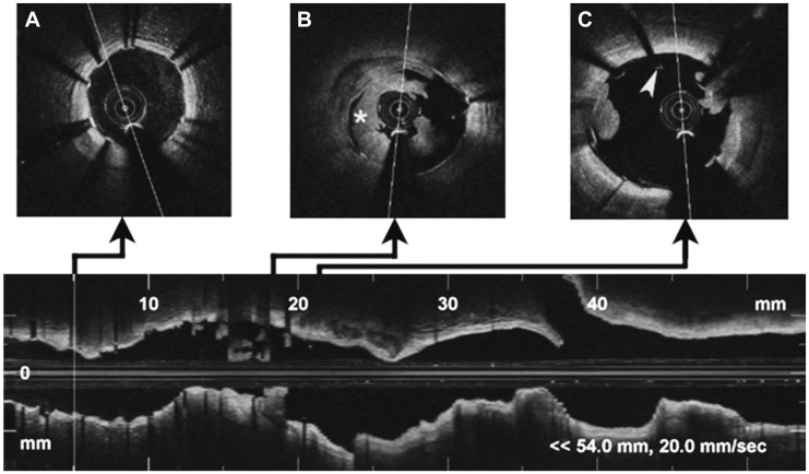 Fig. 3