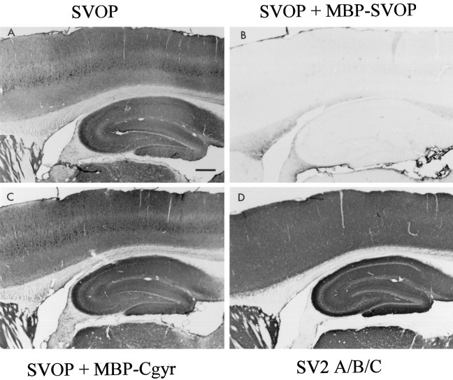 Fig. 10.