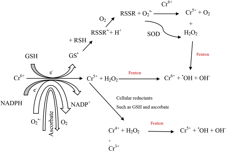 Figure 5