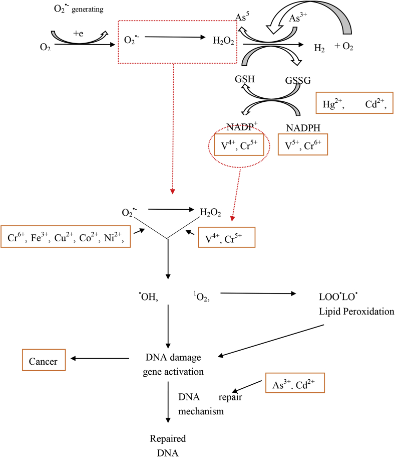 Figure 4