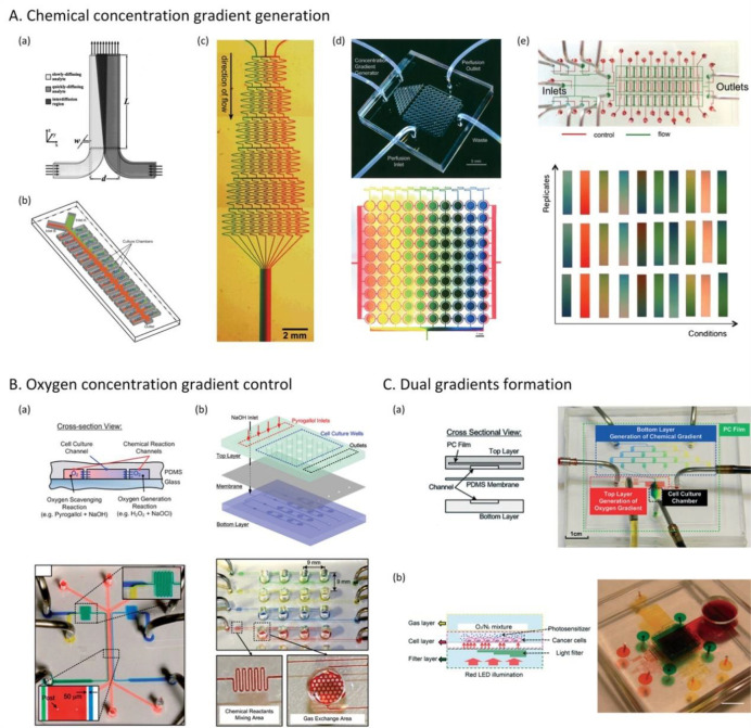 Figure 31