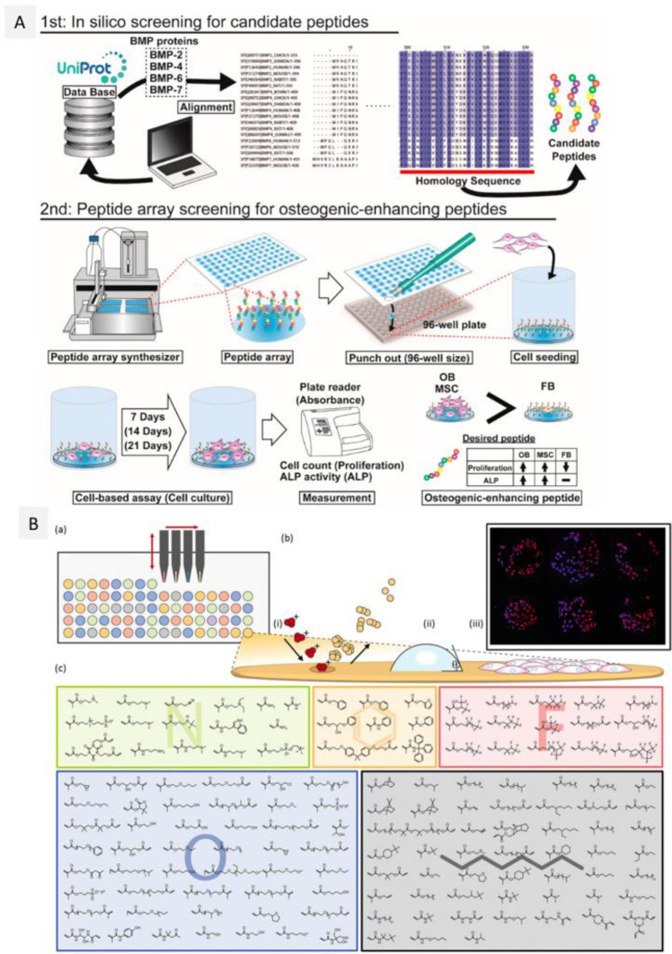 Figure 24