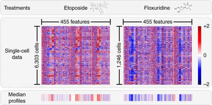 Figure 37