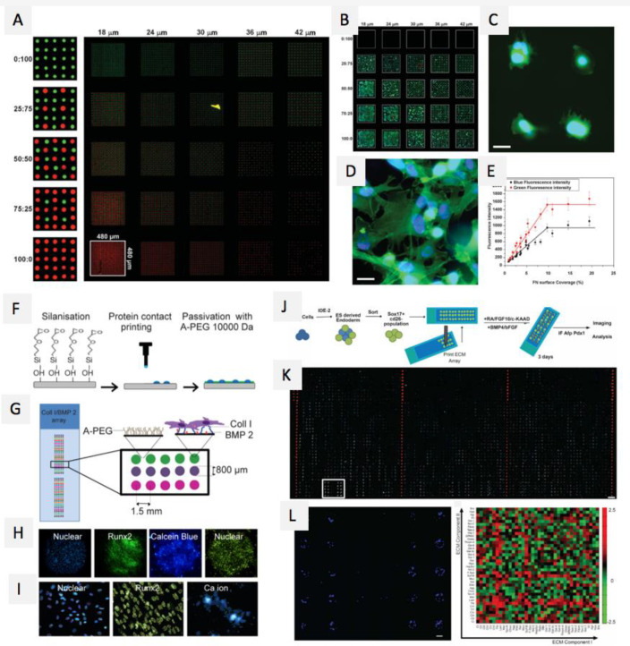 Figure 23