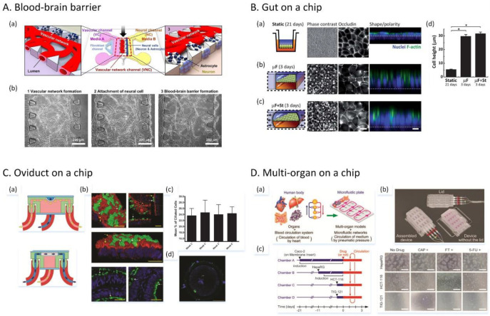 Figure 34