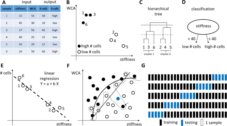 Figure 42