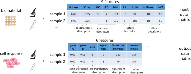 Figure 41