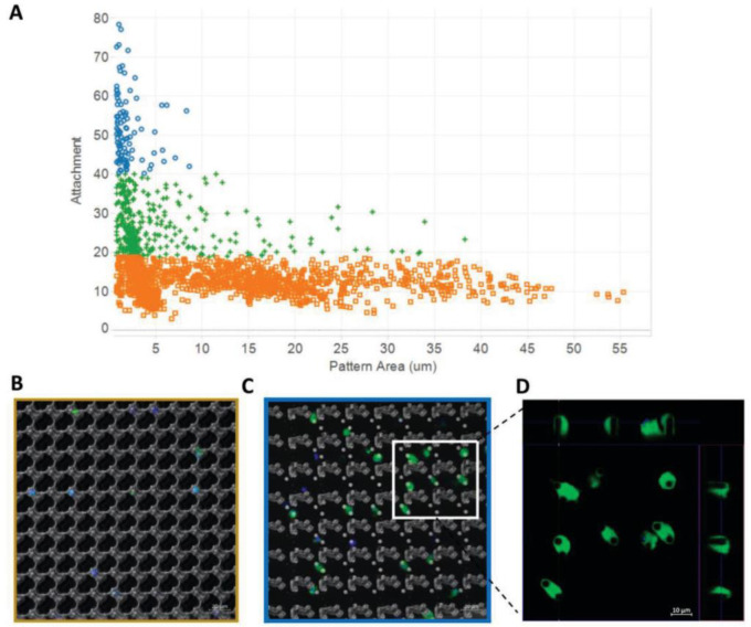 Figure 29