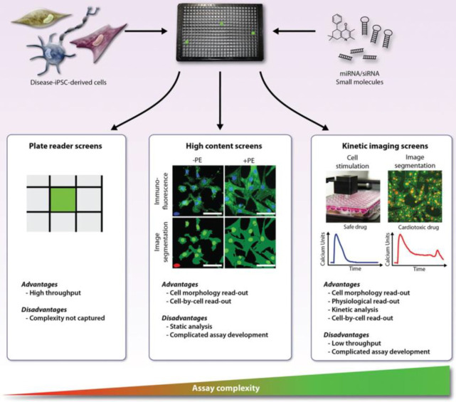 Figure 36