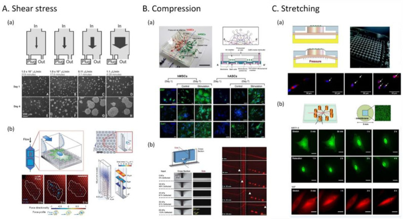 Figure 32